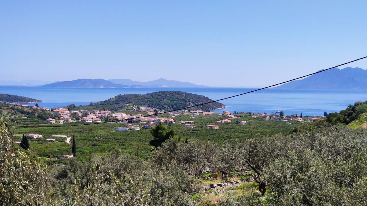Aricobe Villa Epidaurus Bagian luar foto